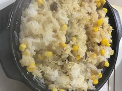 煲饭-煲来饱去冷水鱼