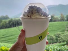 -白茶原·一片叶子
