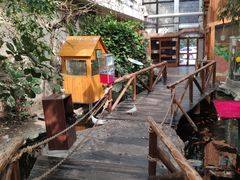 -上海大自然野生昆虫馆(东方明珠·爬宠昆虫探索中心)
