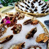 有一家性价比之王这羊毛必须薅