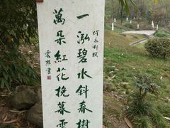 -重庆彩云湖湿地公园