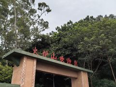 -火炉山森林公园