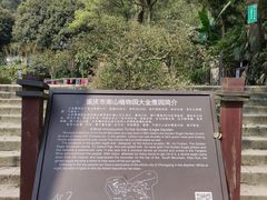 -大金鹰园
