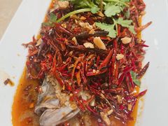 -杨氏青龙虾·羊蝎子(珠江路店)
