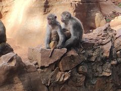 -昆明动物园