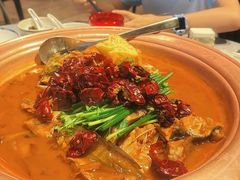 -柿合缘新京菜(国金中心商场店)