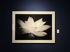 -德基艺术博物馆