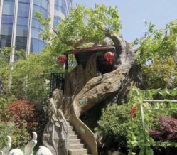 -可可天空农场(中大店)