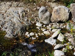 -MOJ coffee(瓯海泽雅水碓坑店)