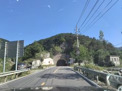 -王莽岭风景区