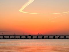 -宝安西湾红树林湿地公园