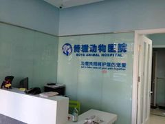 店内环境-纳吉亚猫专科动物医院博雅分院