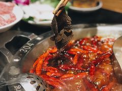 -大龙燚火锅(南山大道店)