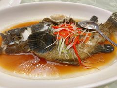 -悦来酒家·正宗闽南菜(西街店)