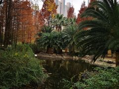 -苏州河梦清园环保主题公园