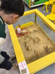 -神奇动物撸宠馆·羊驼·小浣熊·异宠(豫园店)
