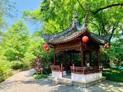 -上海醉白池公园