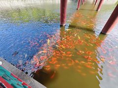-横山寺