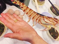 -鲜入围煮花胶鸡海鲜火锅