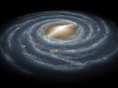 -一只酸奶牛(宝塔区万达店)