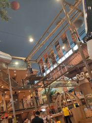 -卡通尼·Safari非洲探索乐园·生日会(金桥国际商业广场店)