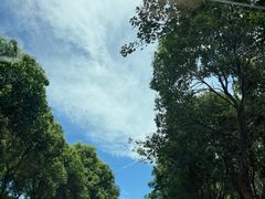 -平湖九龙山旅游度假区