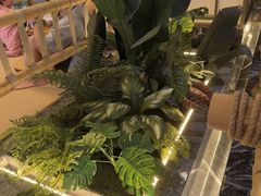 -艺水间水汇