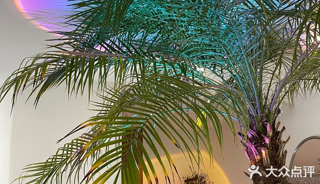 店里虽然人很多 但座位还是一直有的