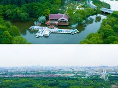 -顾村公园