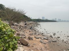 -深圳湾公园(南山区)