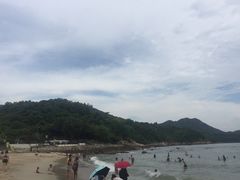 -南丫岛