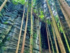 -梭布垭石林景区