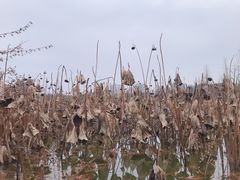 -浙江农林大学(东湖校区)