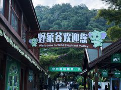 -野象谷景区