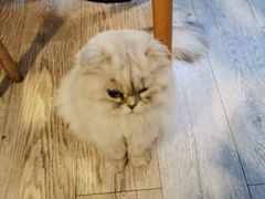 -小时光咖啡馆(北锣鼓巷店)