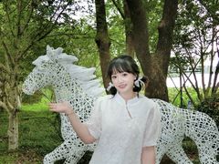 -金鸡湖桃花岛