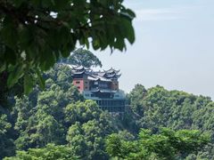 -南山植物园
