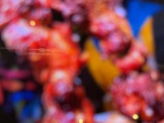 -壹号院音乐餐厅•烤全羊•新疆菜(浐灞店)