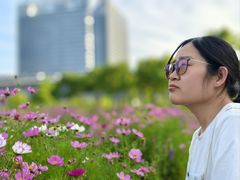 -春花秋色城市公园