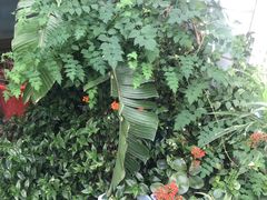 -静莲斋(仙人洞店)