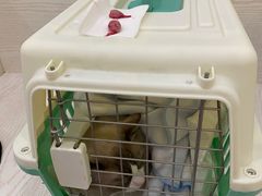-美联众合24小时·皮肤科·外科·全科诊疗中心(华苑分院)