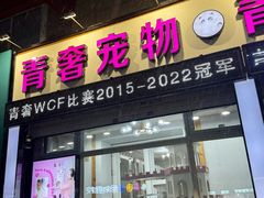 -青奢宠物·青奢猫舍