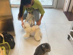 -comecome来吧宠物(奥克斯中心店)