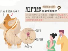 -瑞鹏宠物医院犬猫全科(真大分院)