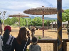 -杭州野生动物世界