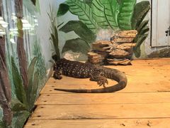 -石家庄市动物园