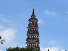 -顺峰山公园