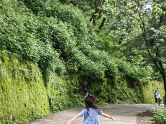 -苍山感通索道