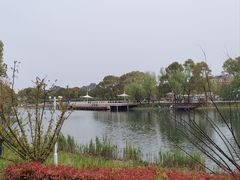 -新江湾城公园