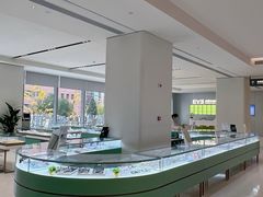-东北大学附属辽宁爱尔眼科医院